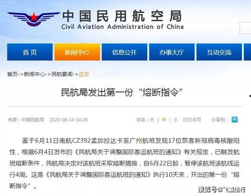 航线爆料最新消息,揭秘即将开通的神秘航线详情