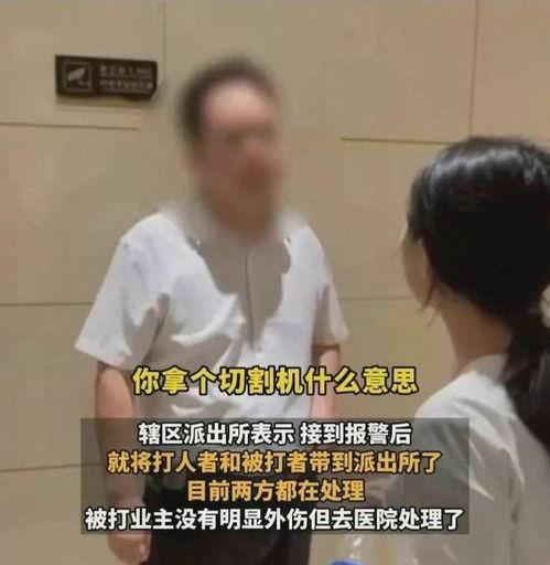 爆料打人者视频大全最新,打人者视频大全，一窥暴力事件全貌