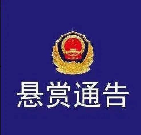 广东梅州爆料案件最新,案情揭秘，真相渐浮水面