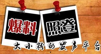 重庆涂先生最新爆料,揭秘重大事件背后真相