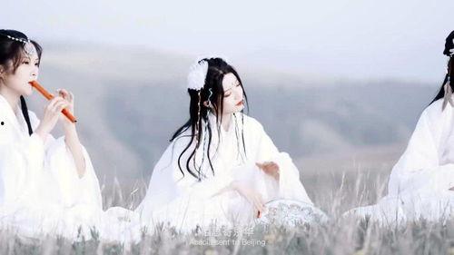 最新爆料古风歌曲大全,最新爆料古风歌曲大全盘点